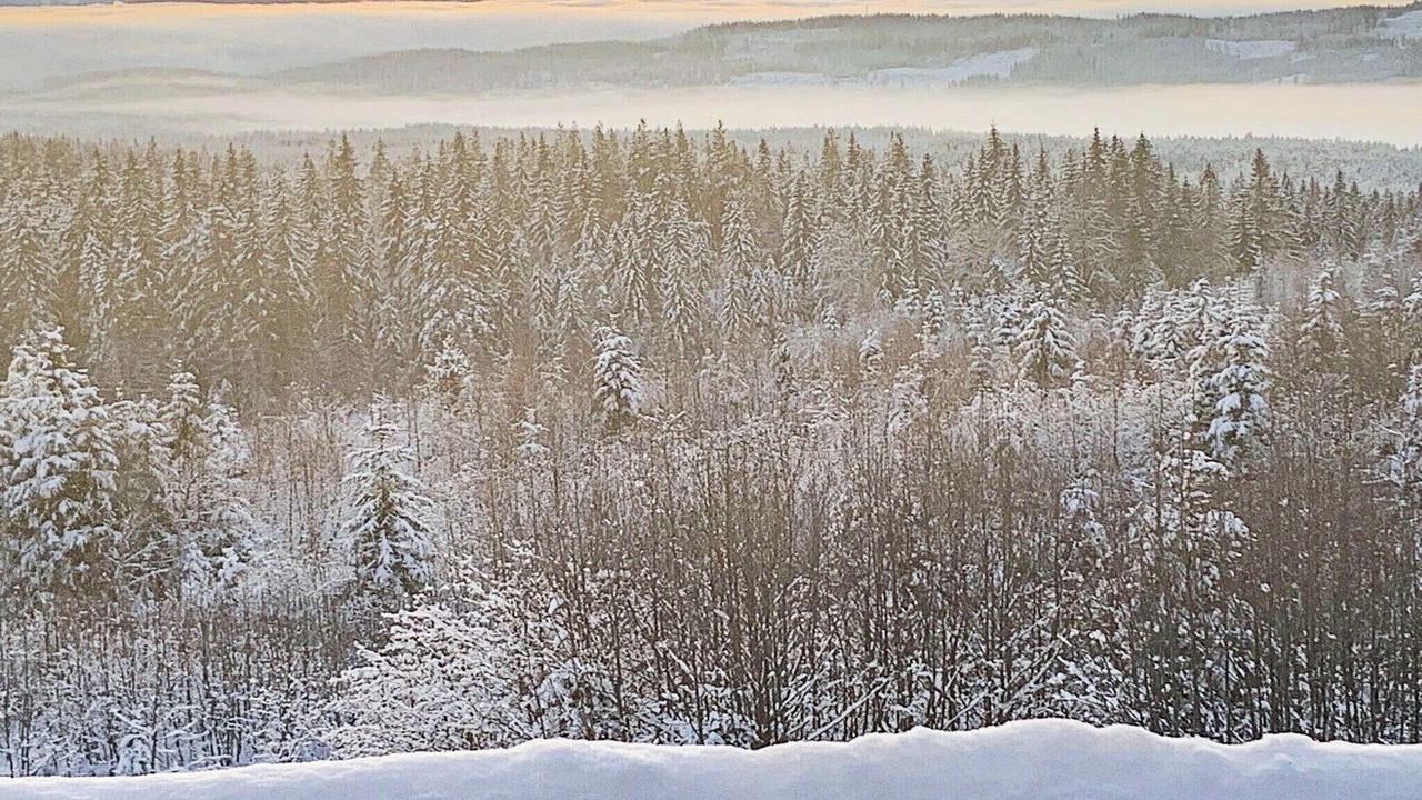Photo of Others in Sndre Land
