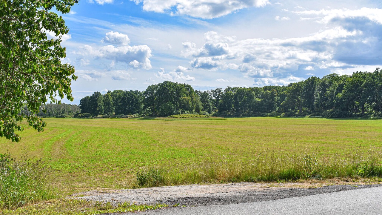 Photo of Others in Morrum