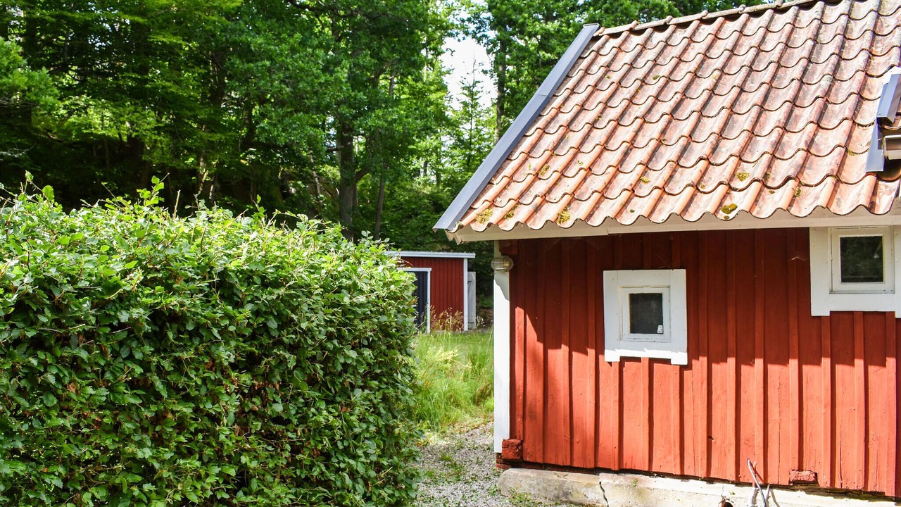 Photo of Others in Morrum