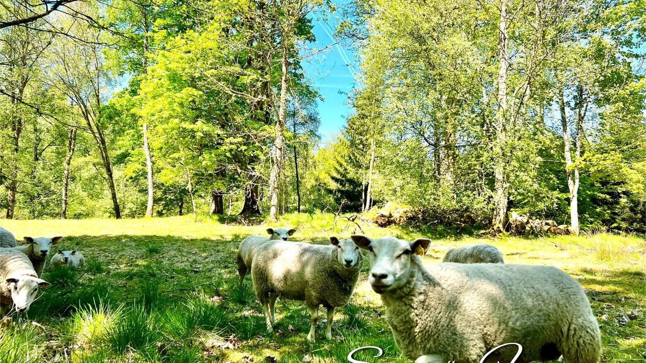 Photo of Outdoor in Fegen