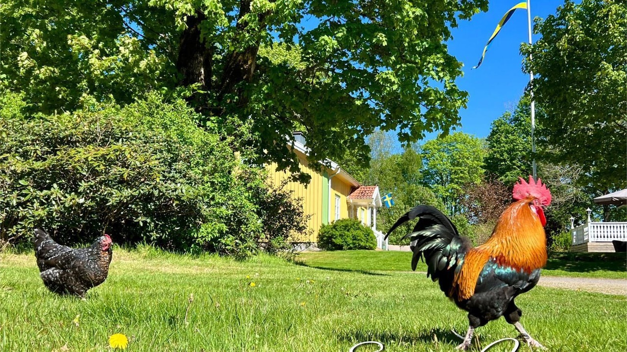 Photo of Outdoor in Fegen
