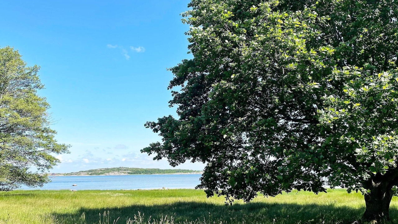 Photo of Outdoor in Bohus-Bjorko