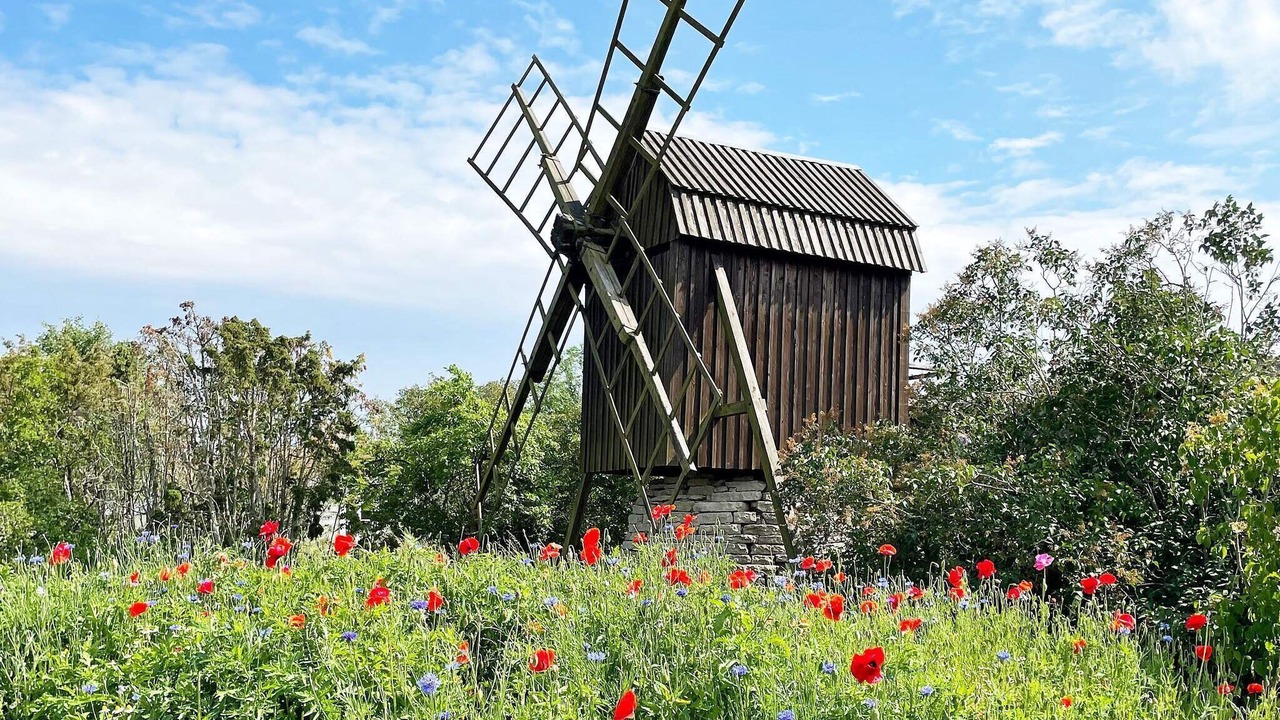 Photo of Outdoor in Lottorp