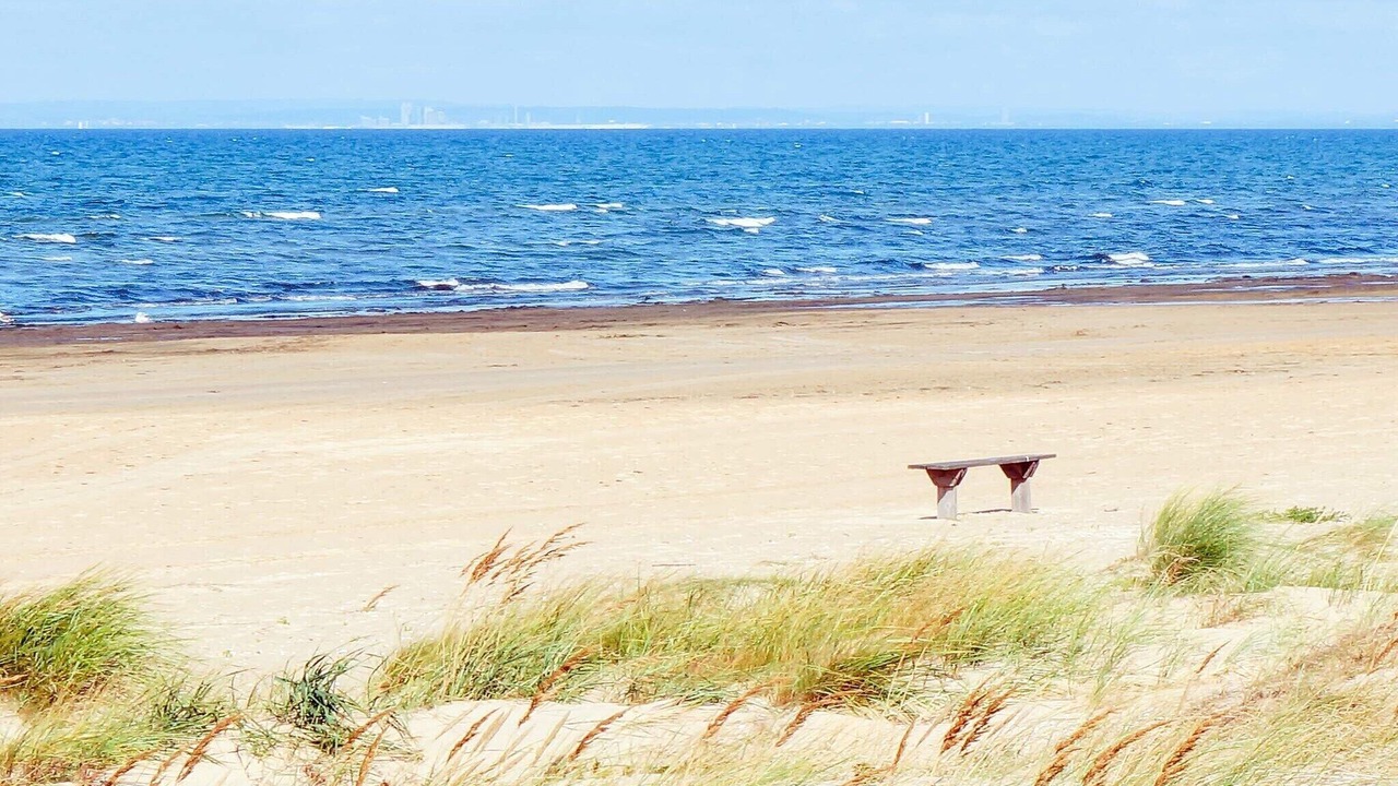 Photo of Others in Skummesloevsstrand