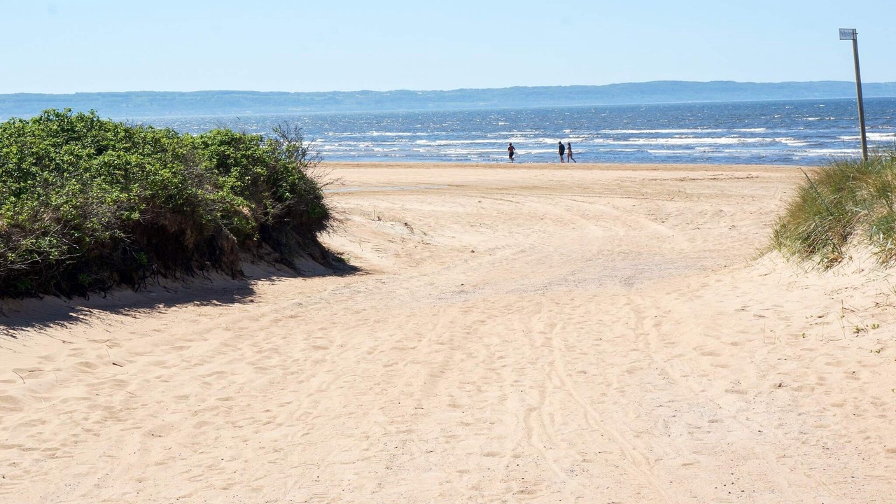 Photo of Others in Skummesloevsstrand