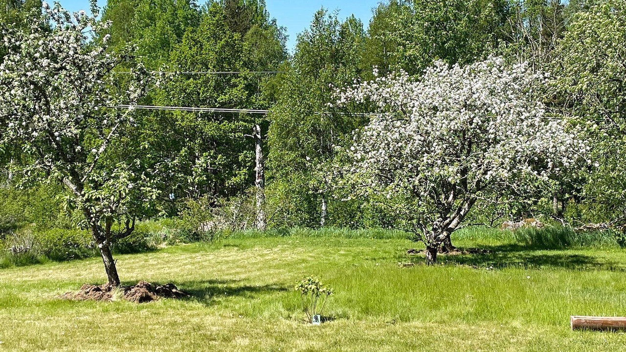 Photo of Outdoor in Osterbymo