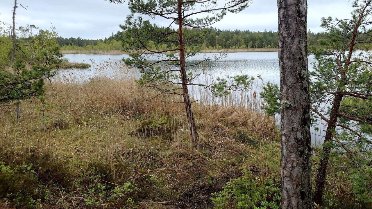Photo of Others in Ingaro