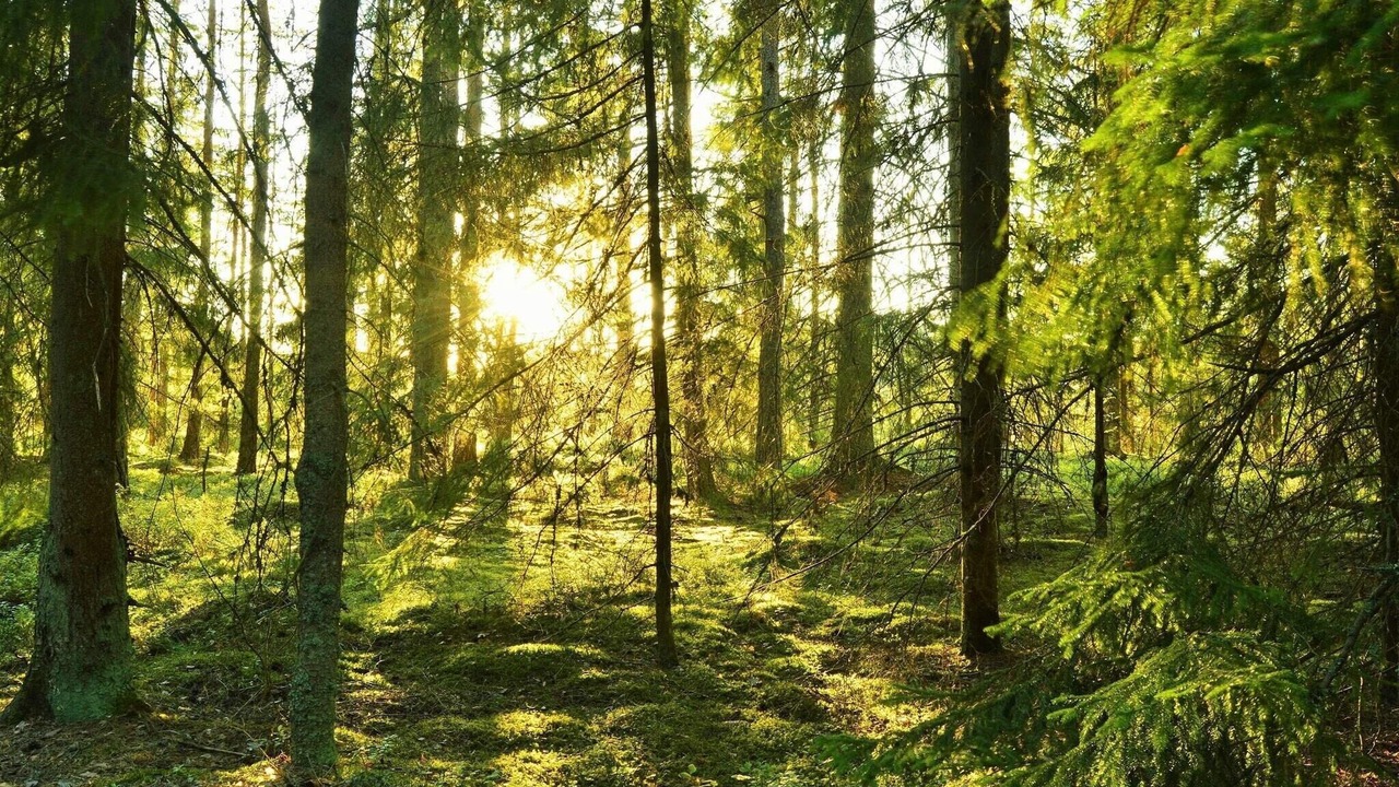 Photo of Outdoor in Skummesloevsstrand