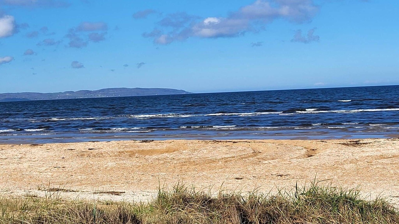 Photo of Others in Mellbystrand