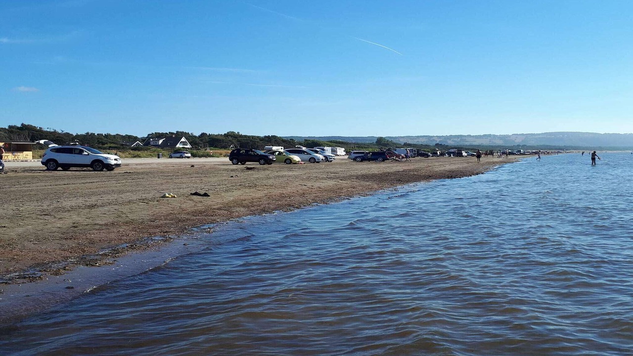 Photo of Others in Mellbystrand