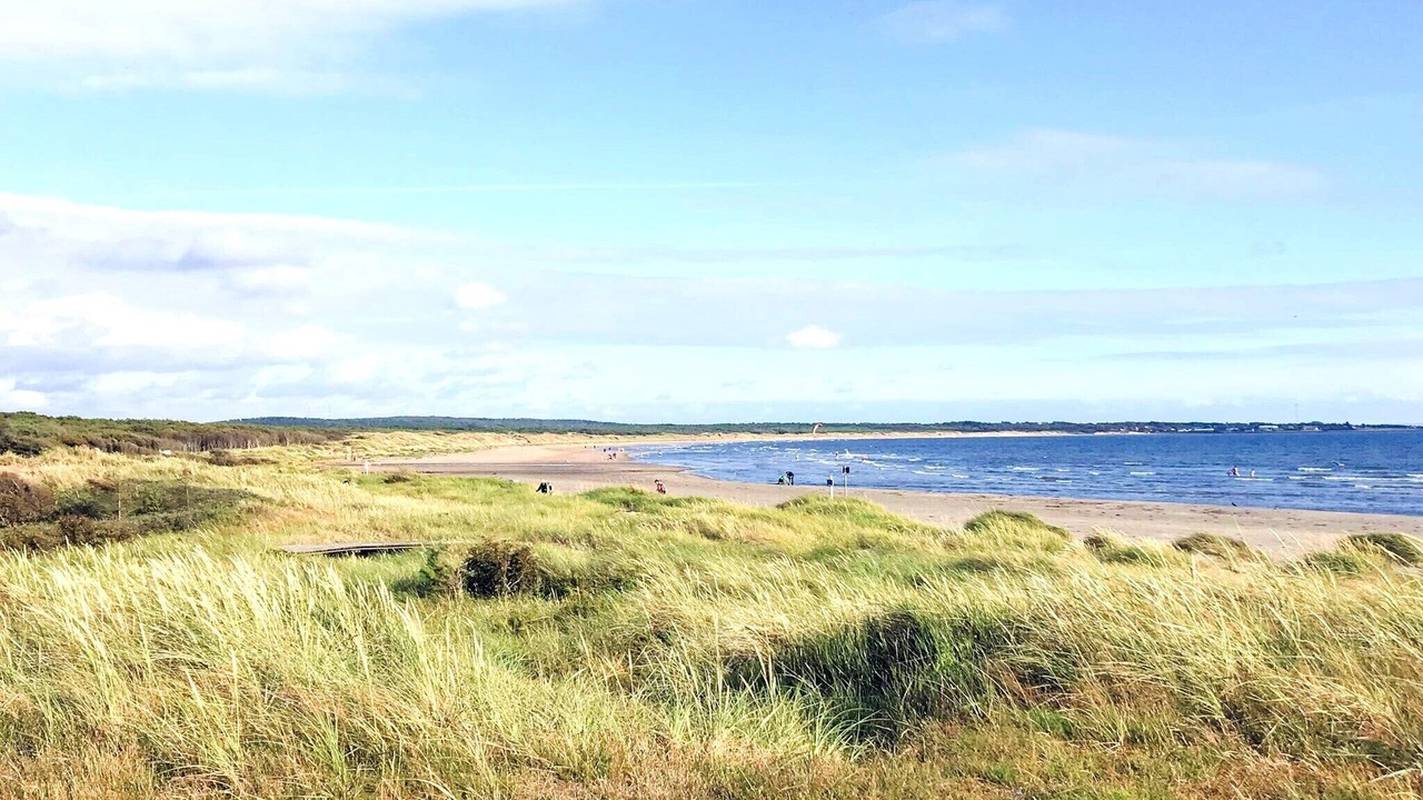 Photo of Others in Mellbystrand