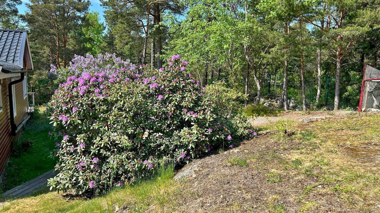 Photo of Outdoor in Varmdo