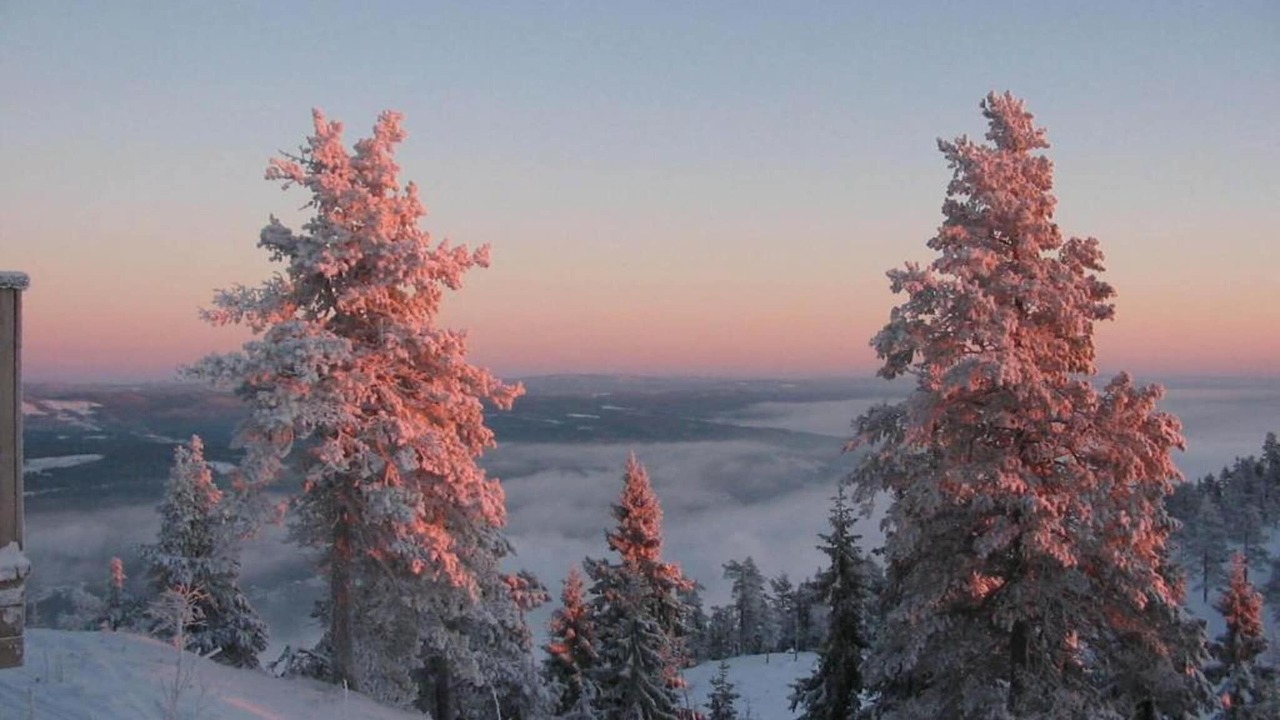 Photo of Others in Letafors