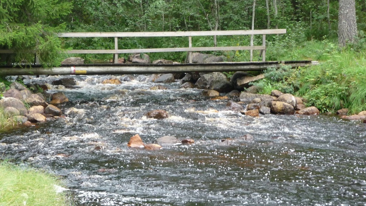Photo of Others in Letafors