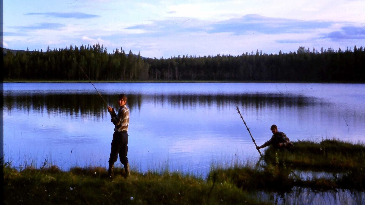 Photo of Others in Letafors