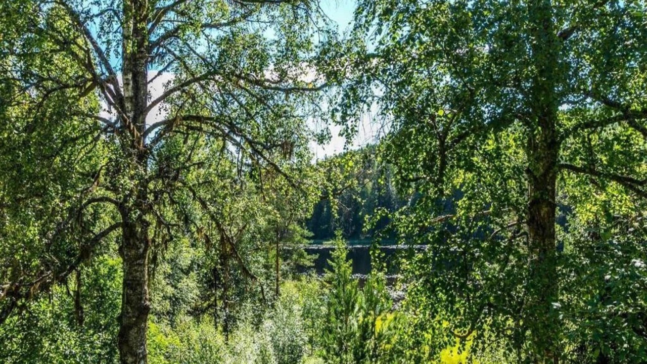 Photo of Others in Torsby