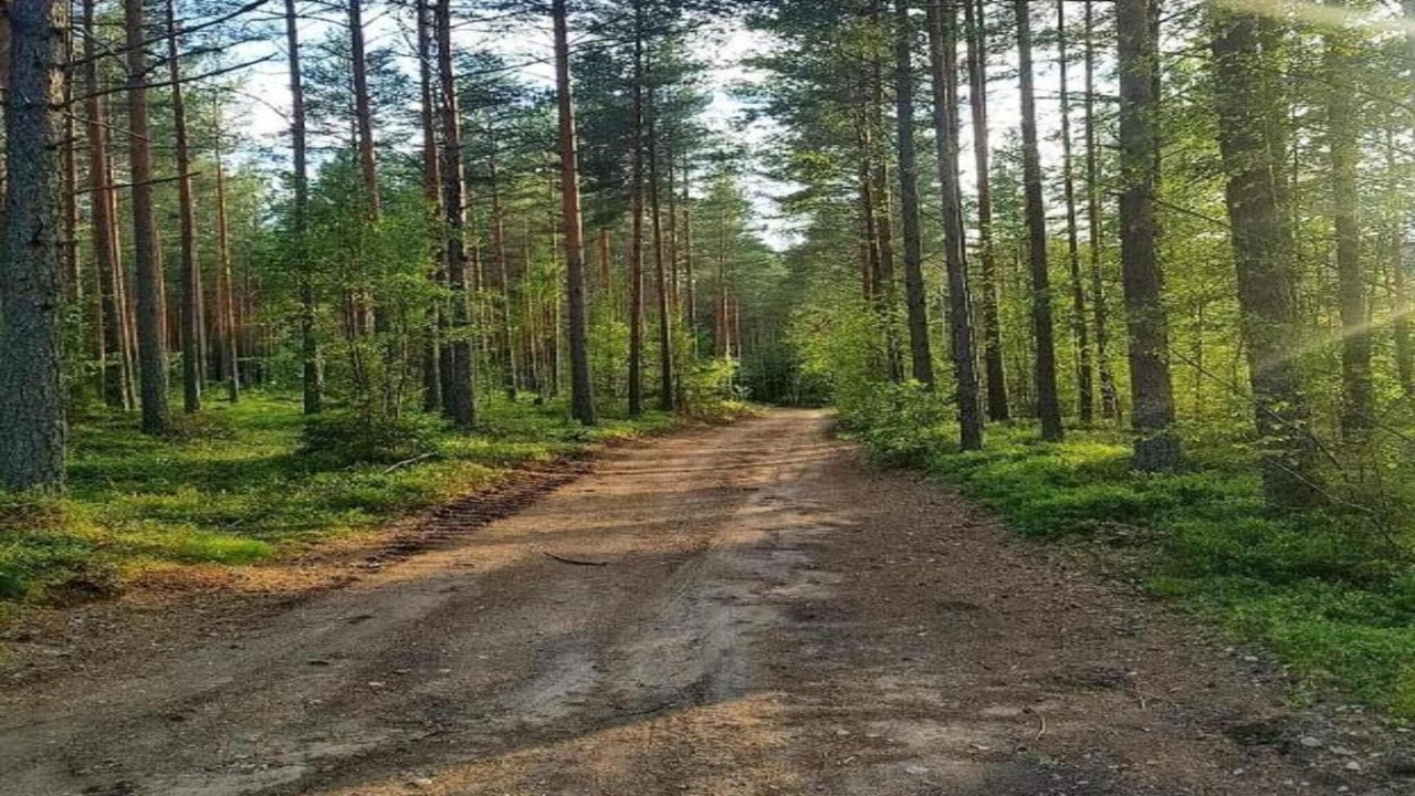Photo of Others in Torsby