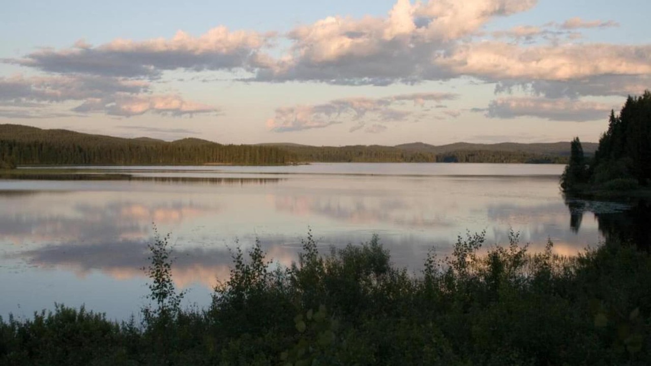 Photo of Others in Torsby