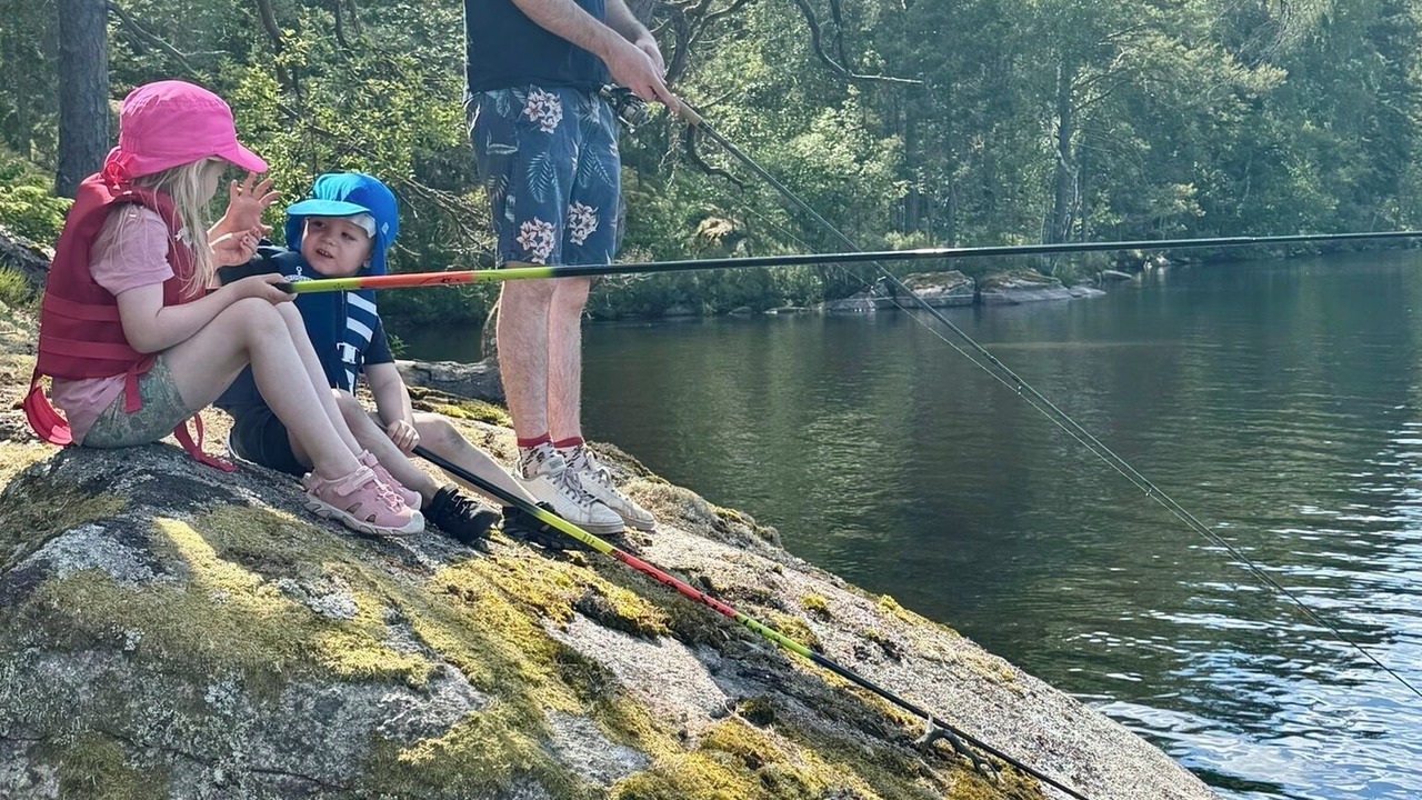 Photo of Others in Hultsfred