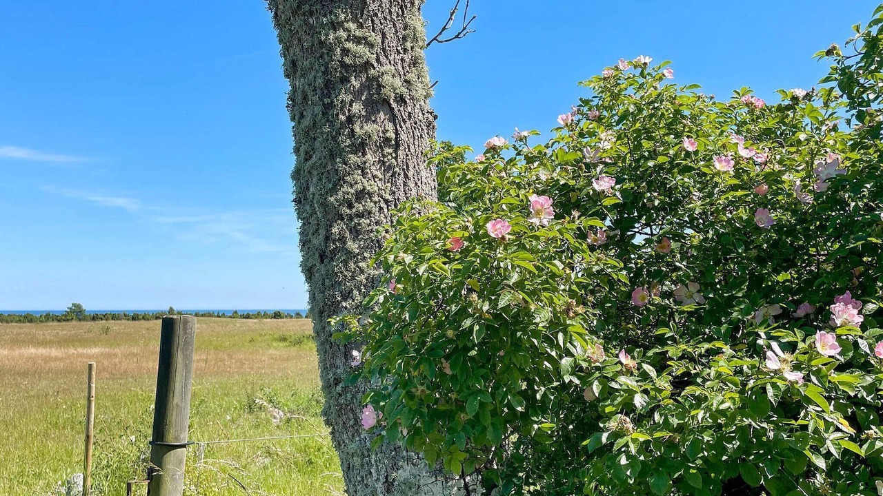 Photo of Outdoor in Storlinge
