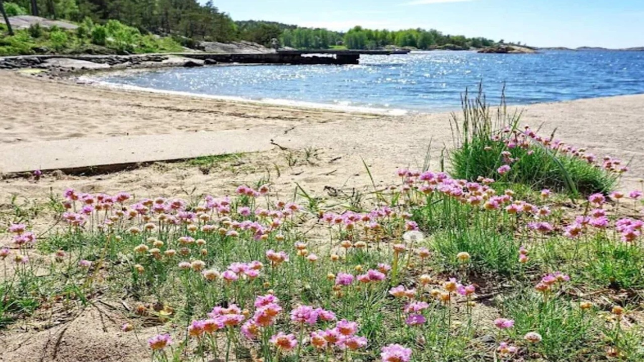 Photo of Others in Lokholmen
