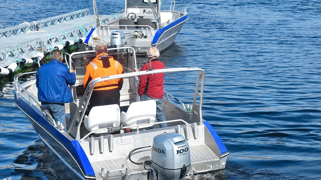 Photo of Others in Dyrvik