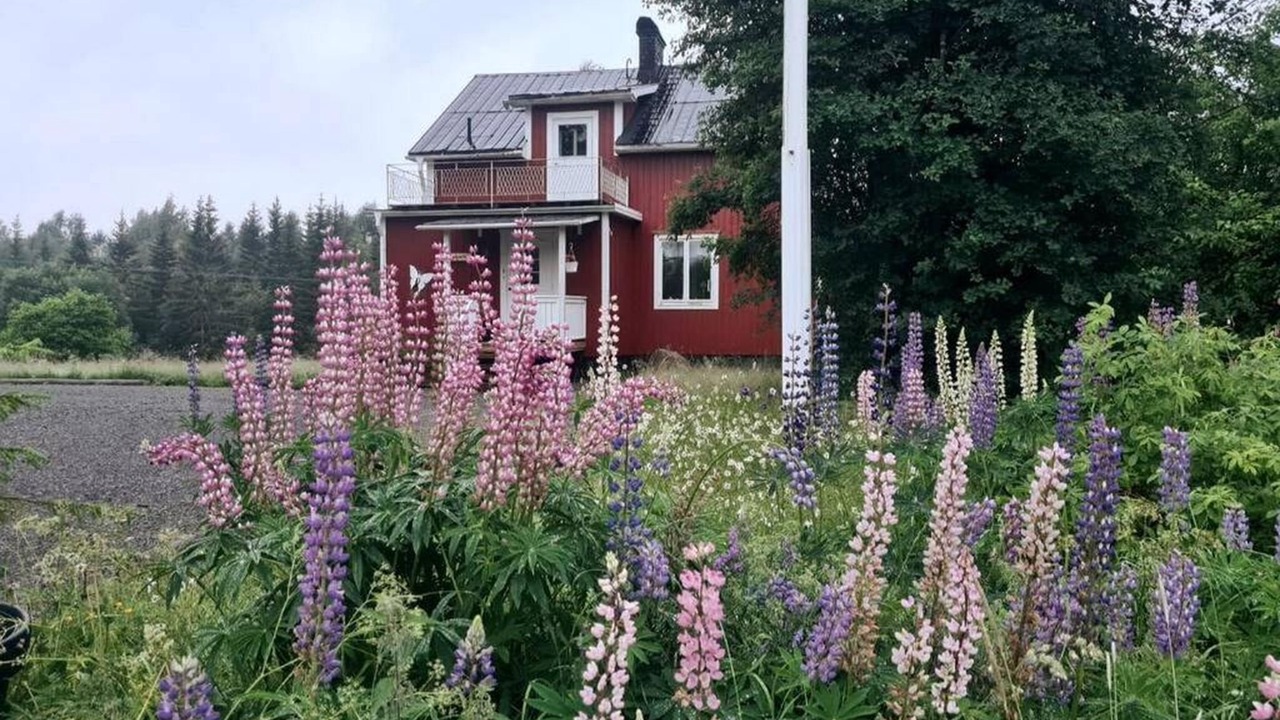 Photo of Outdoor in Stode