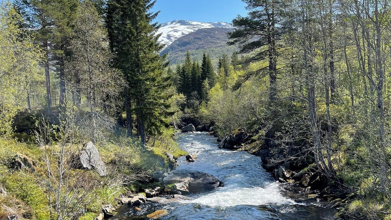 Photo of Others in Stranda