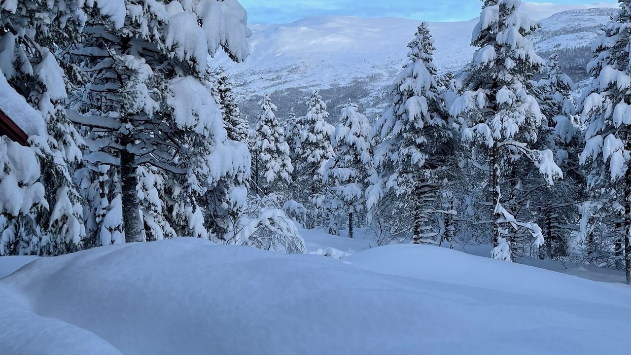 Photo of Others in Stranda