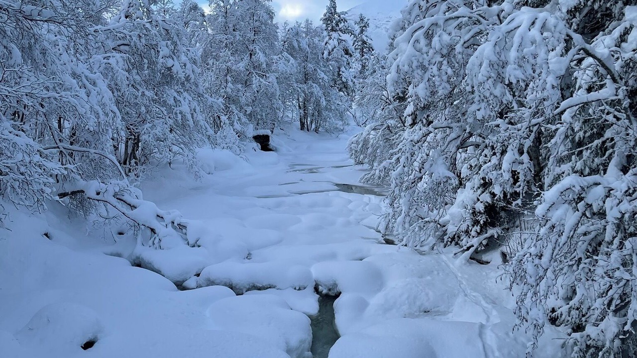 Photo of Others in Stranda