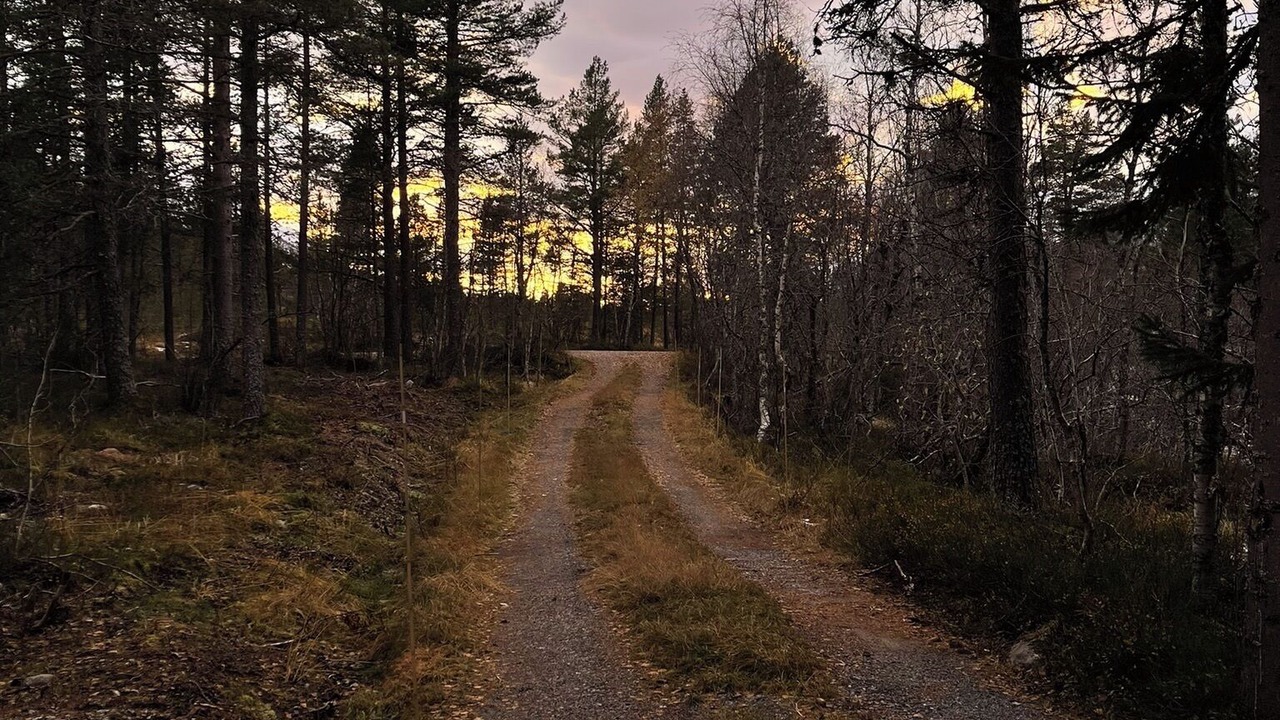 Photo of Others in Stranda