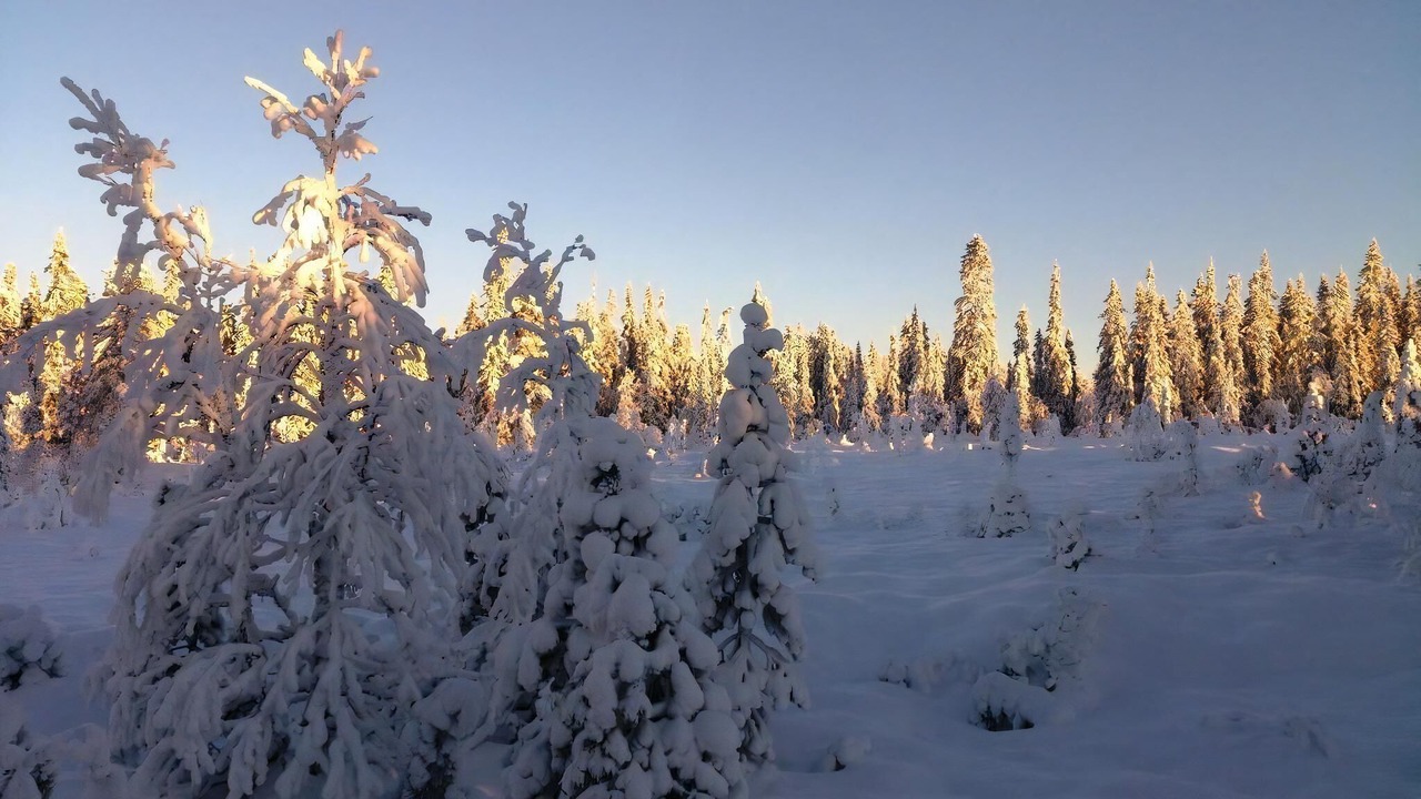 Photo of Others in Stoten