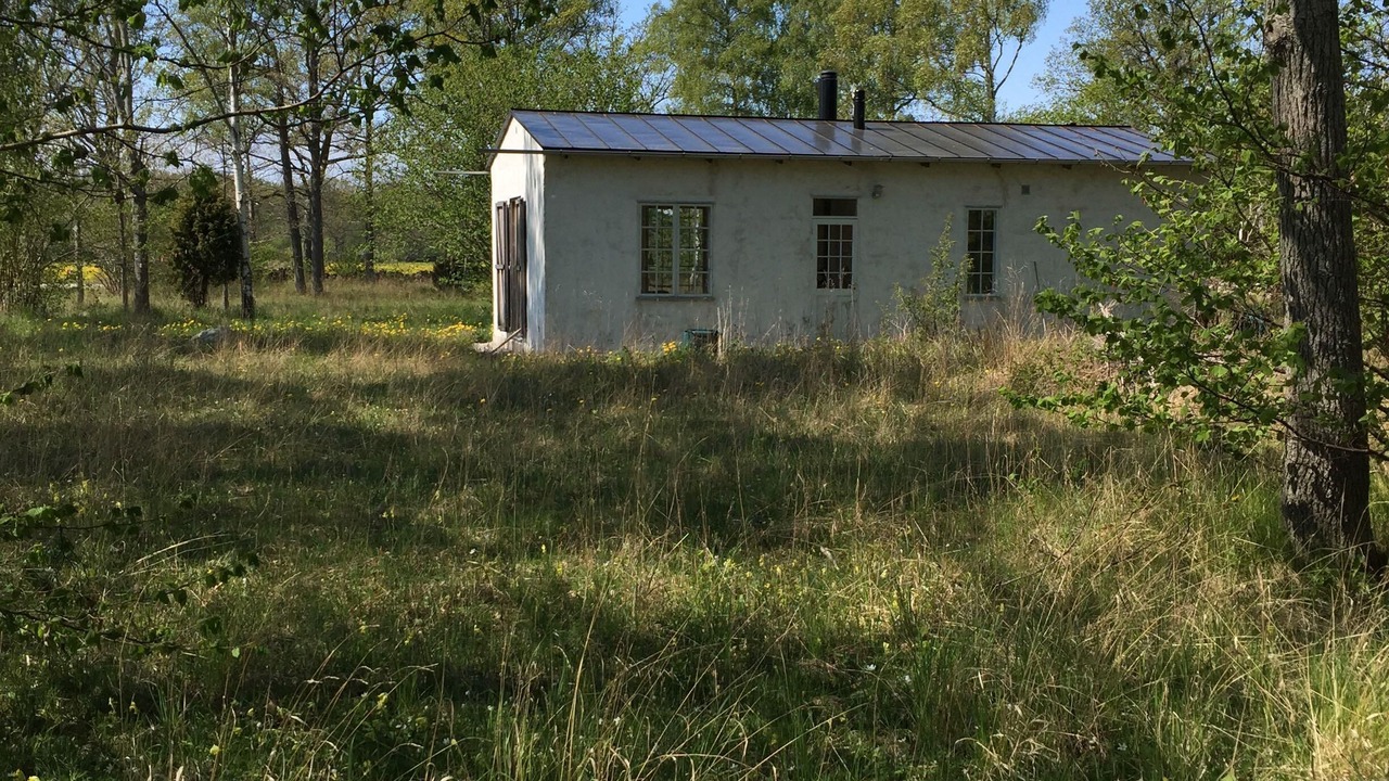 Photo of Others in Havdhem