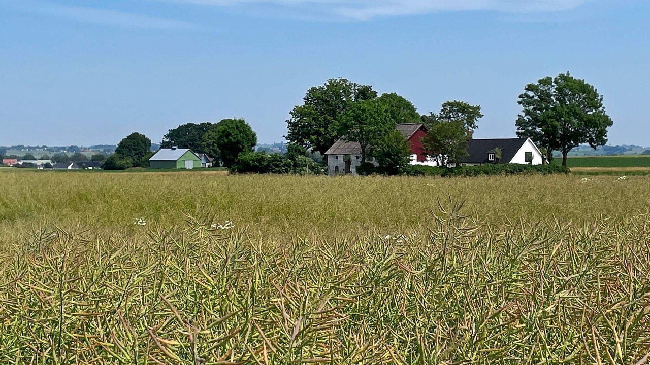 Photo of Outdoor in Skivarp
