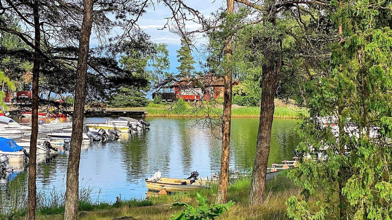 Photo of Outdoor in Monsteras