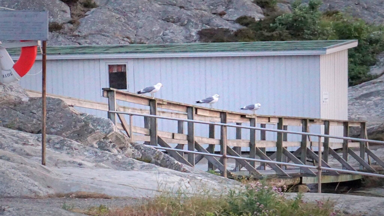 Photo of Others in Smogen