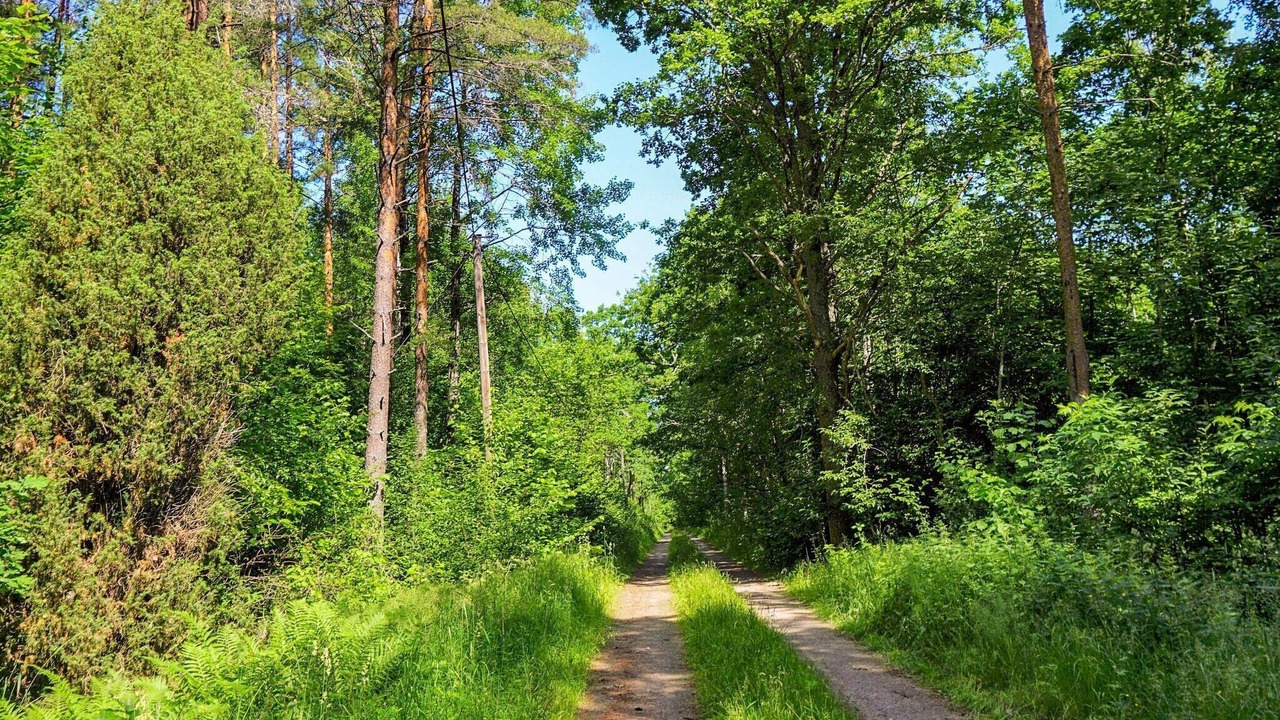 Photo of Outdoor in Odensbacken