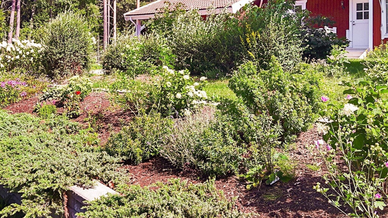 Photo of Outdoor in Vato