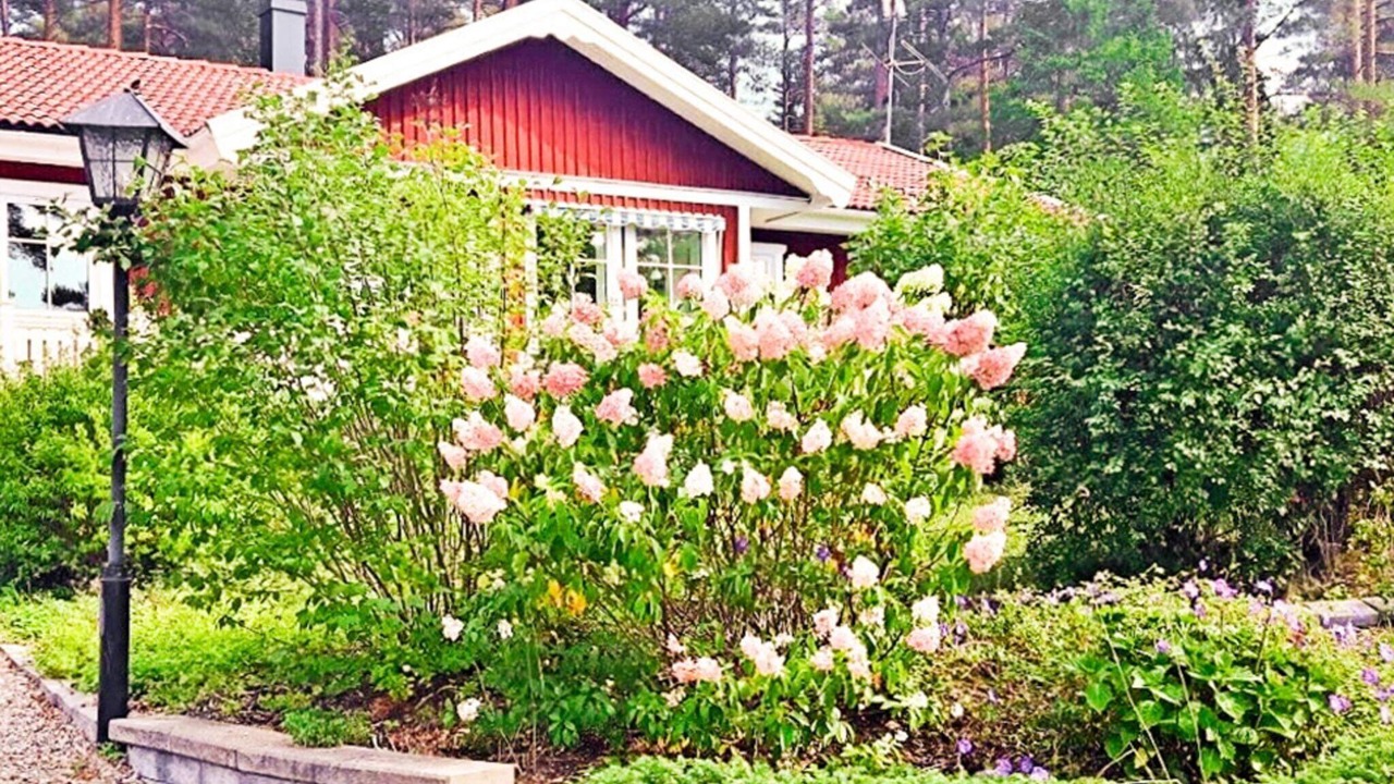Photo of Outdoor in Vato