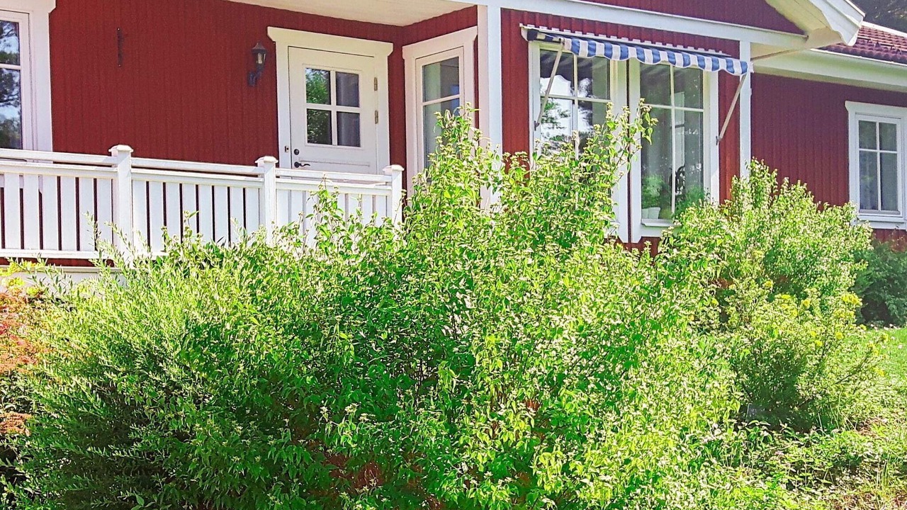 Photo of Outdoor in Vato