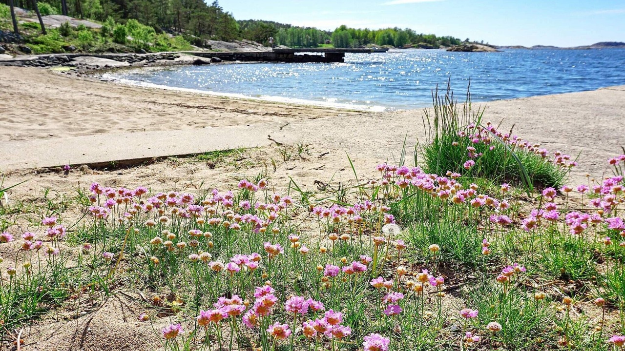 Photo of Others in Lokholmen