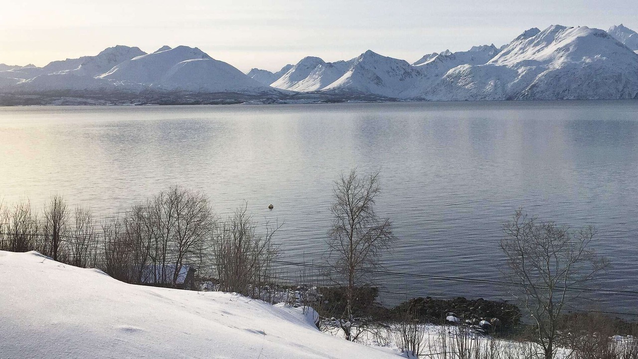 Photo of Others in Lyngen