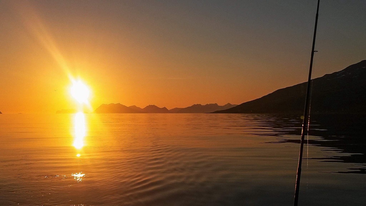 Photo of Others in Lyngen