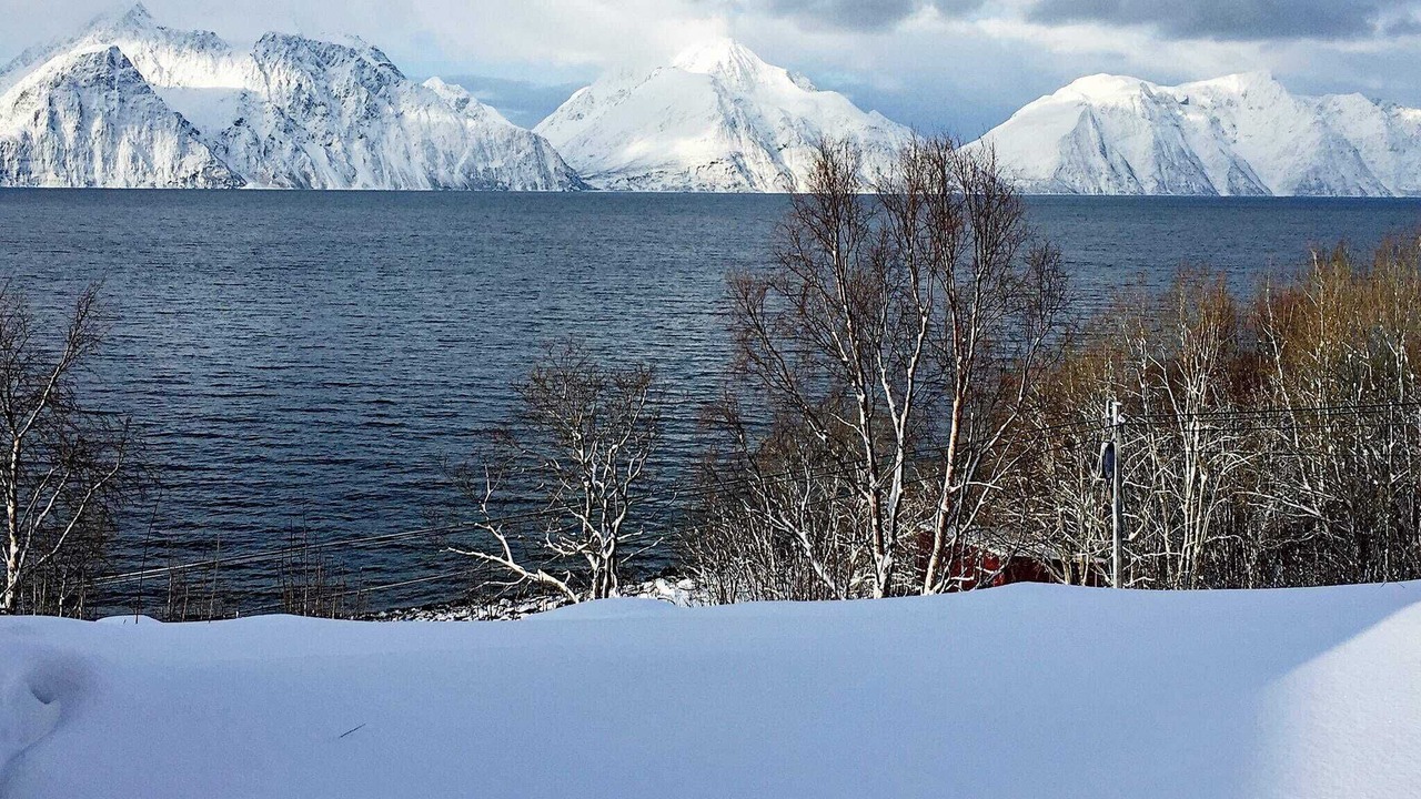 Photo of Others in Lyngen