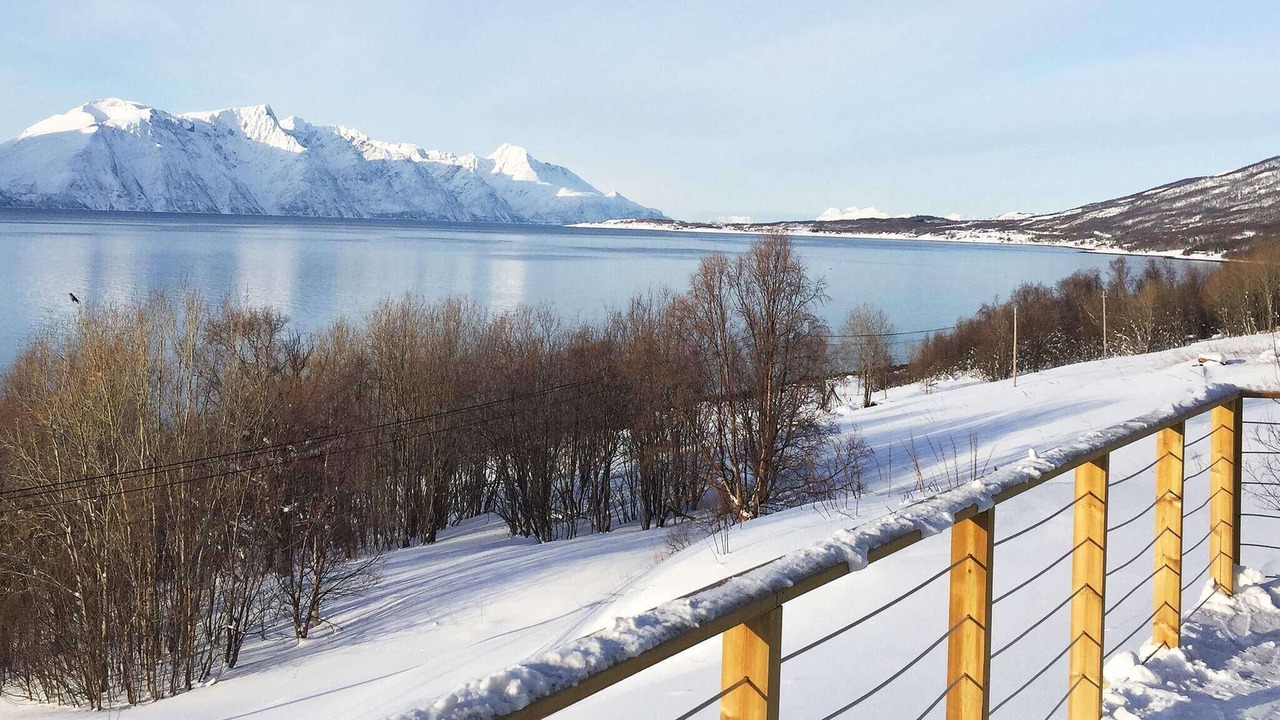 Photo of Others in Lyngen