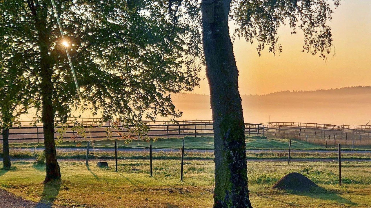 Photo of Outdoor in Tystberga