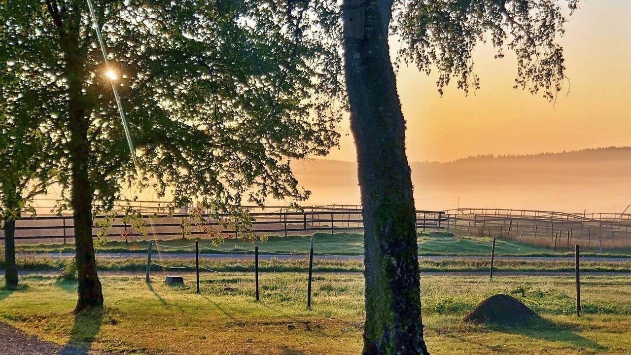 Photo of Outdoor in Tystberga