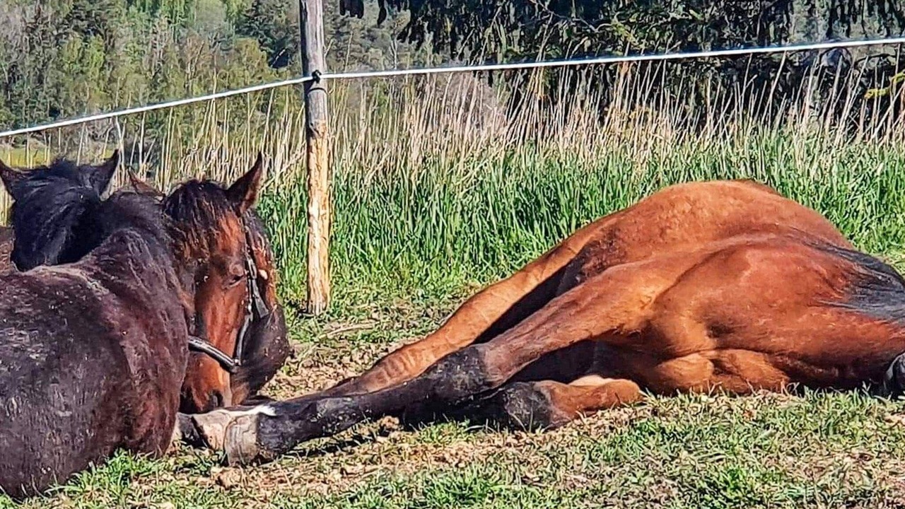 Photo of Outdoor in Tystberga
