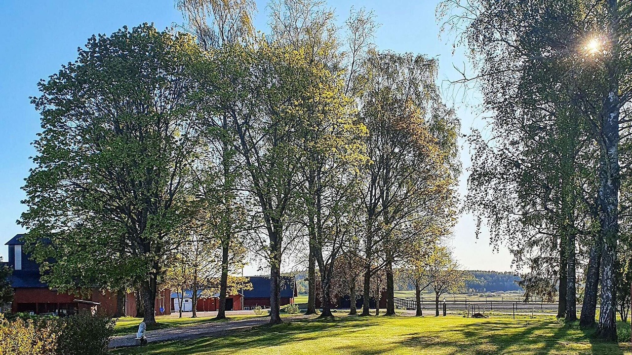 Photo of Outdoor in Tystberga