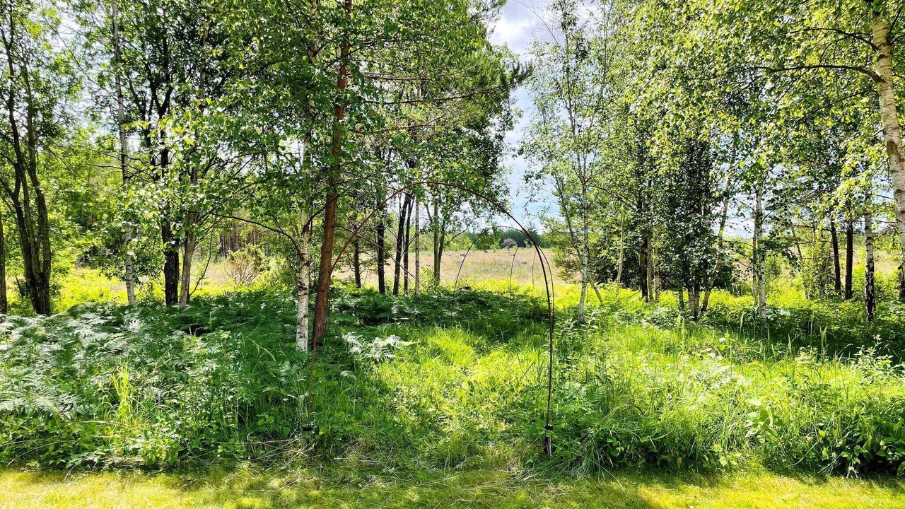Photo of Outdoor in Katthammarsvik